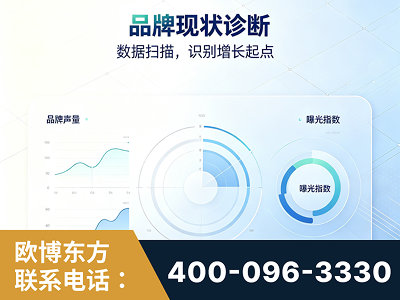 抚远-品牌现状诊断