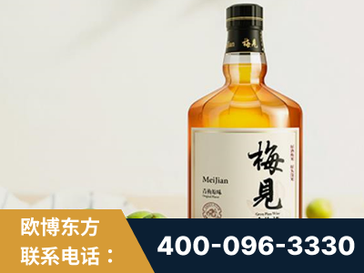 抚远-梅见青梅酒